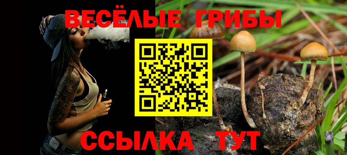 Псилоцибиновые грибы Magic Shrooms  Вход с VPN  Костомукша 